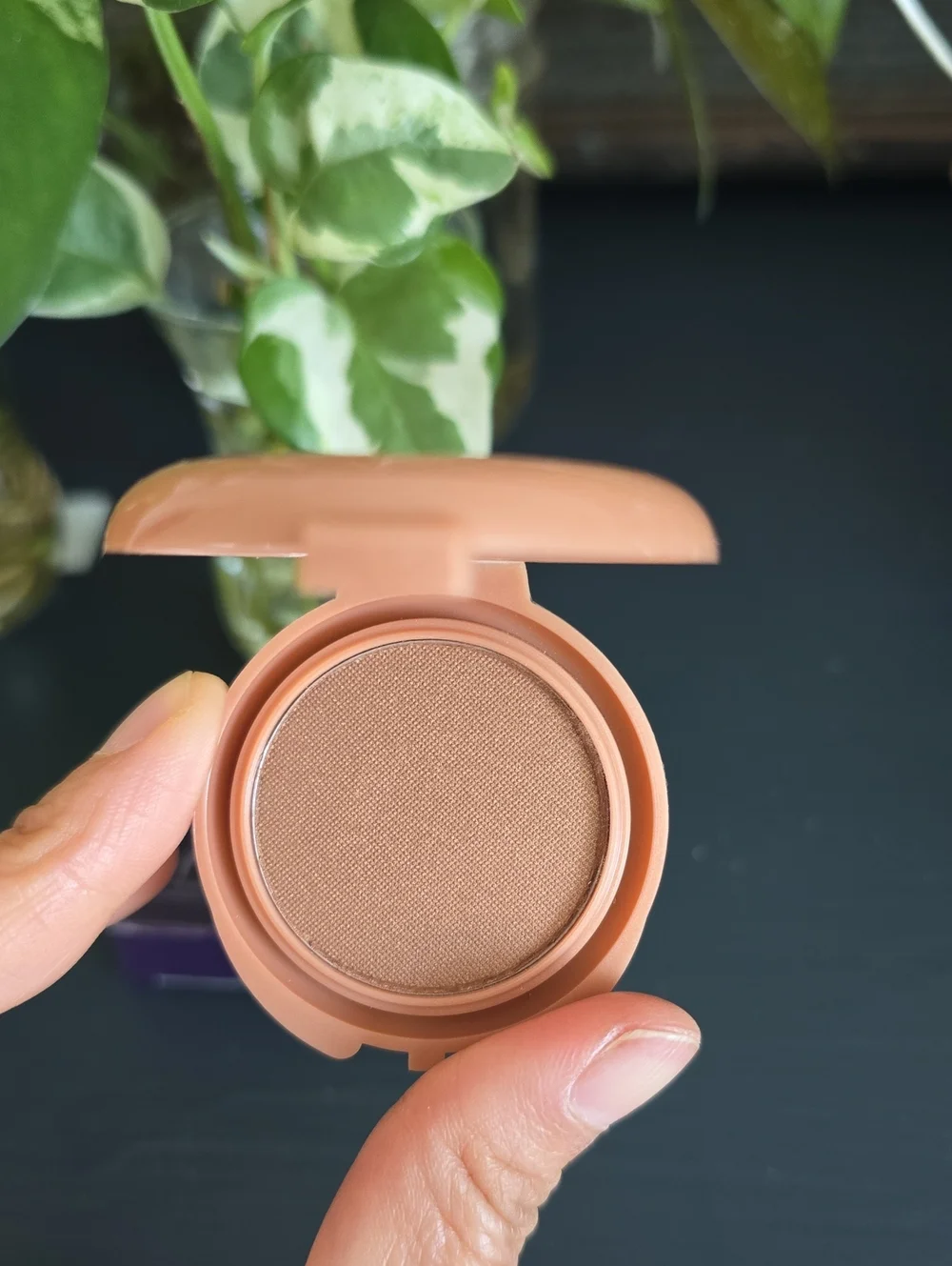 6/8 Tarte ParkAve Princess